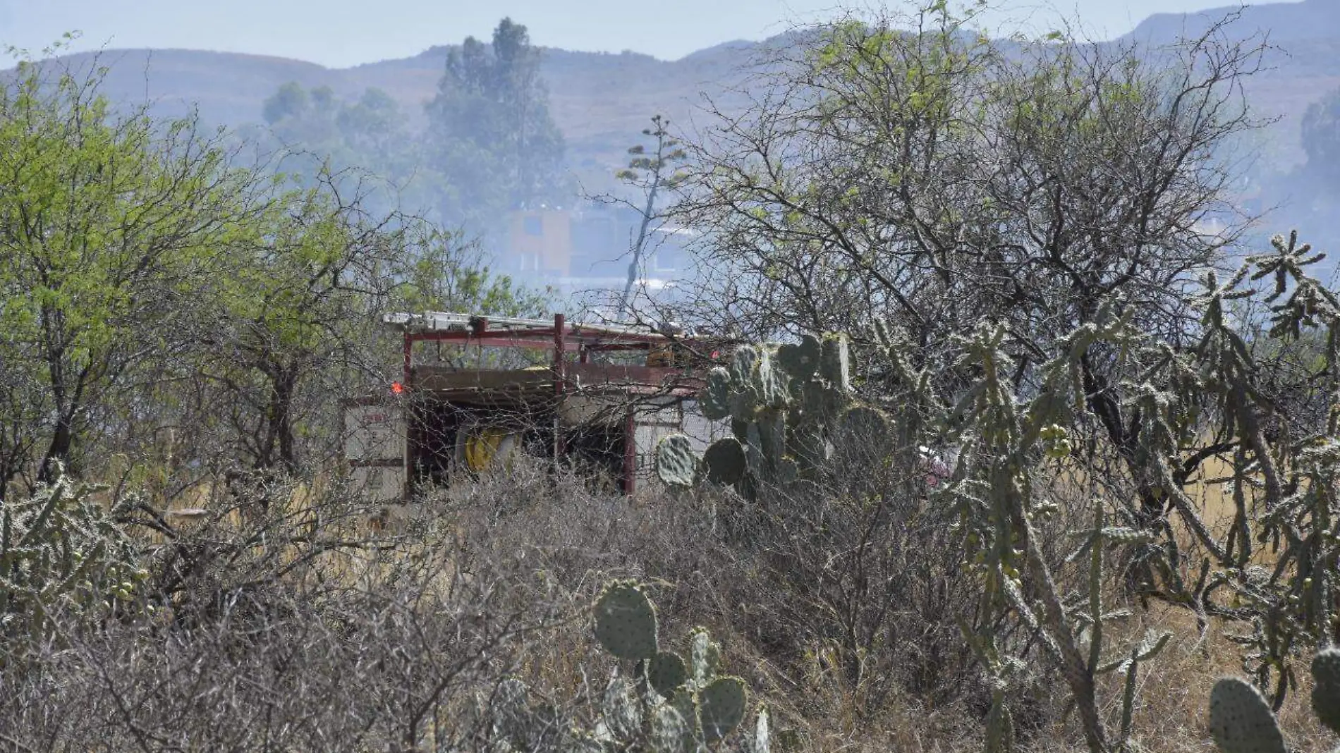 incendios forestales (2)